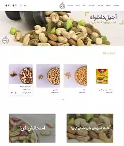 نمونه کار سید محمد محمودی