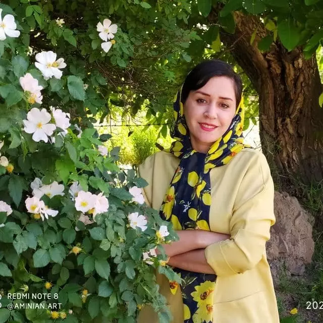 عکس مینا امینیان 