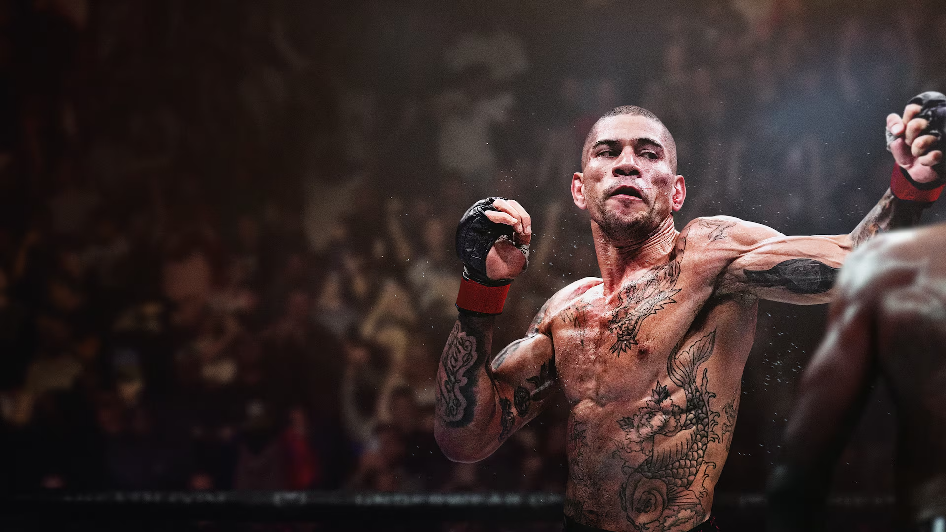 UFC 6