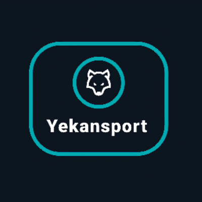 لوگوی Yekansport