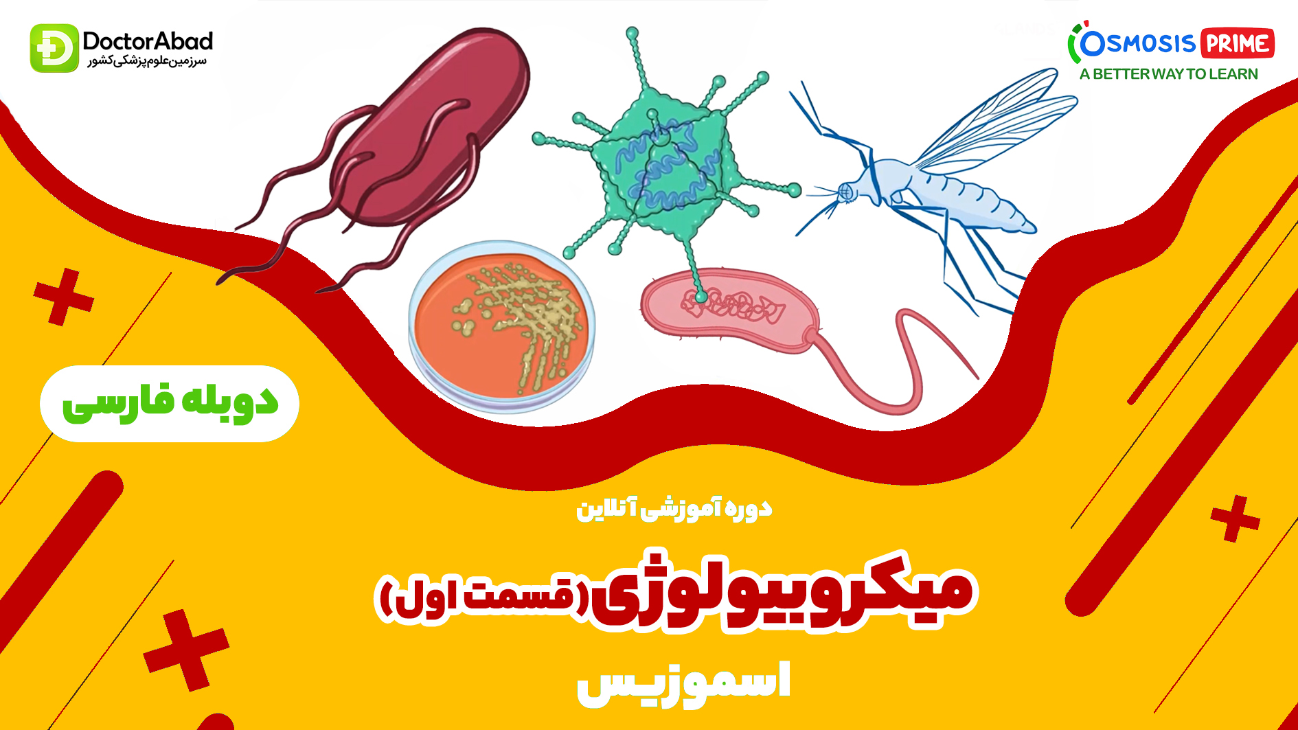 دوره دوبلهفارسی میکروبشناسی اسموزیس- بخش اول