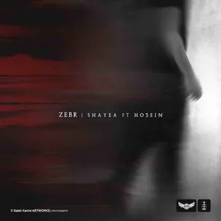Zebr