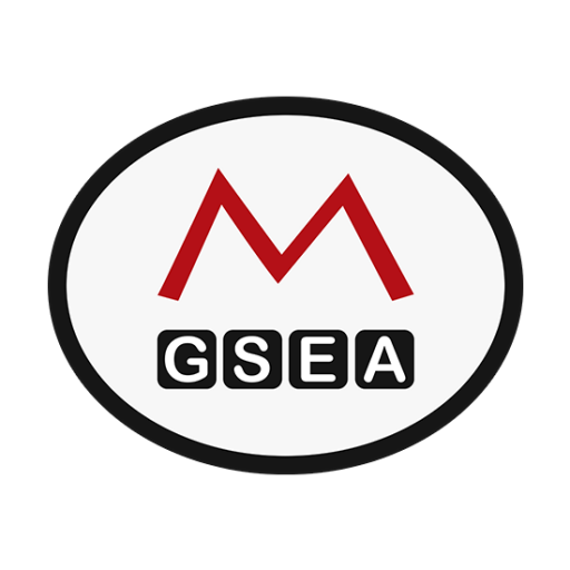 مرکز کسب و کار برقی‌سازی مپنا