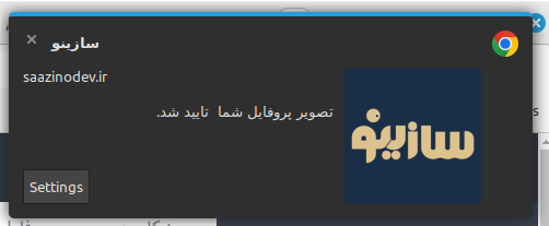 کنسرت حمید هیراد 1