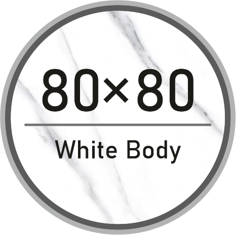 80 در 80 بدنه سفید