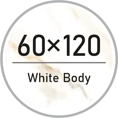 60 در 120 بدنه سفید