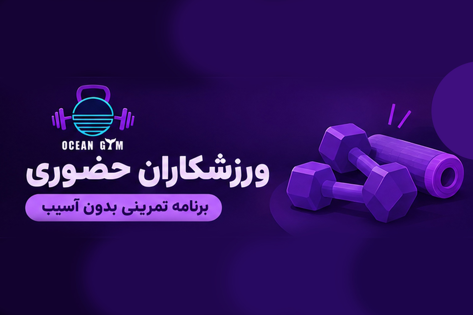 تصویر پکیج (بدون آسیب) حضوری