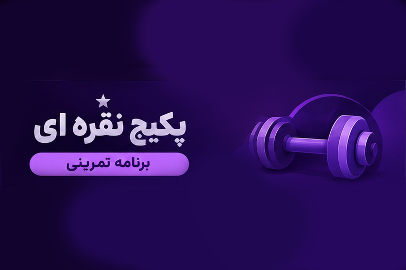 تصویر پکیج پکیج نقره ای