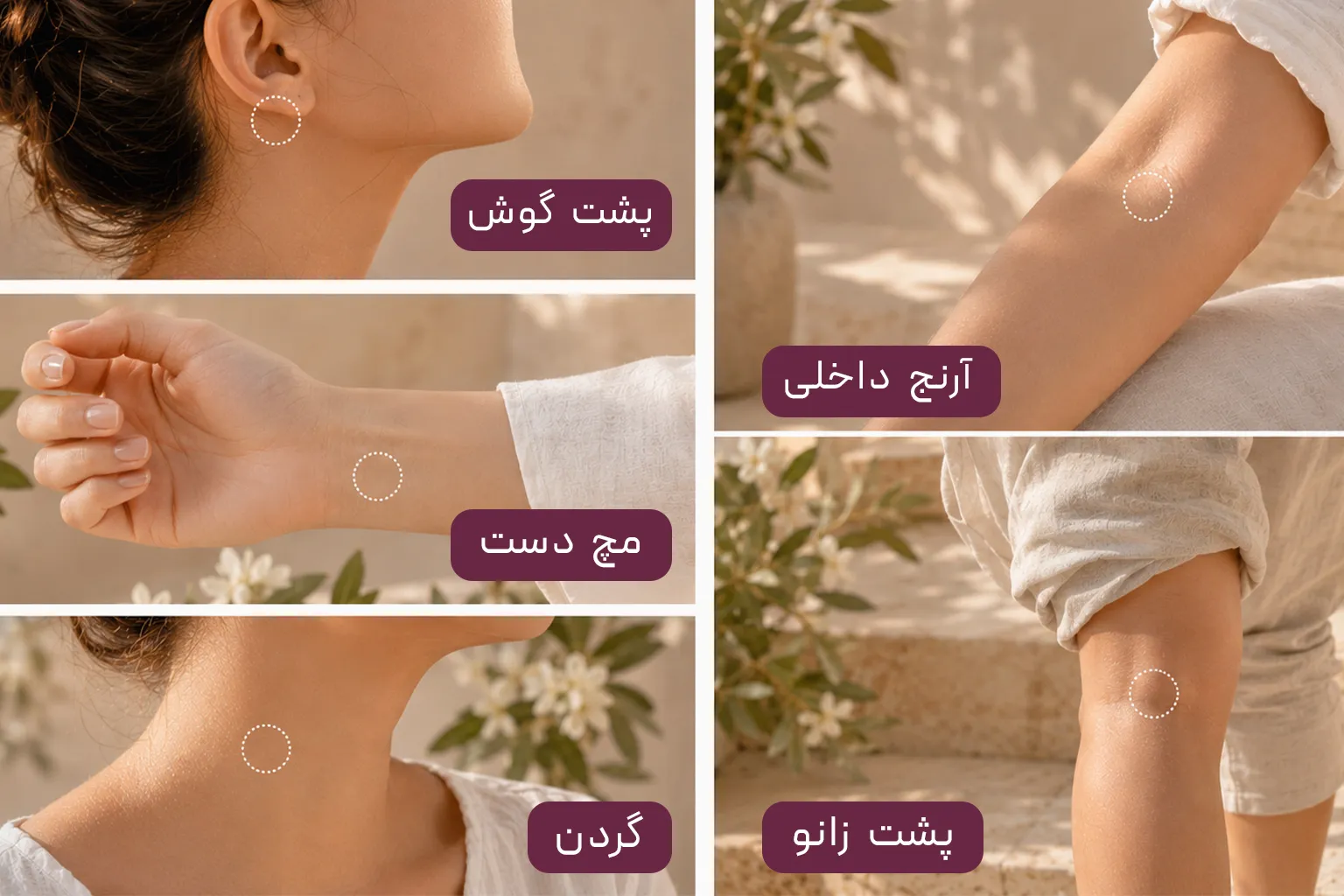 بهترین نقاط نبض برای اسپری عطر نقاط نبض مناسب برای اسپری عطر شامل پشت گوش، گردن، مچ دست، آرنج داخلی و پشت زانو