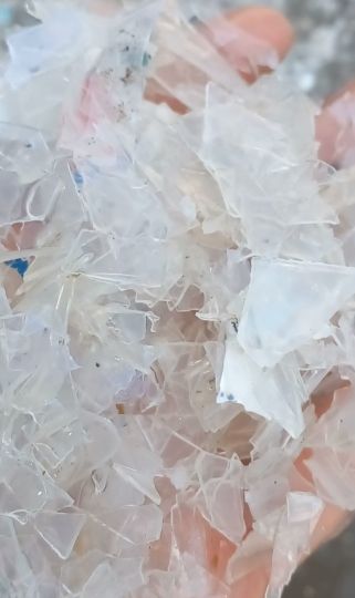 فروش ppشفاف