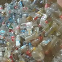 فروش ضایعات پت زنده