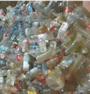 فروش ضایعات پت زنده