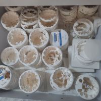 ضایعات بلانک زیرکونیا