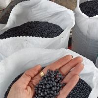 فروش عمده گرانول HDPE برای لوله‌سازی
