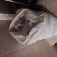 کاغذ باطله و کتاب و کارتن تفکیک شده