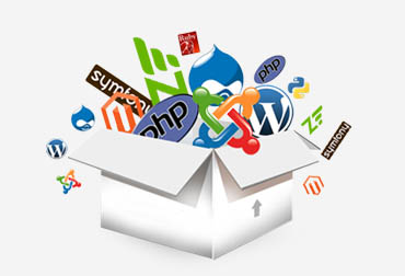 Dynamic website design