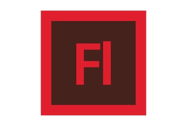 What is flash?