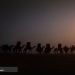 خدمات گروه جهادی شهید مهدی چهار میری درایام اربعین