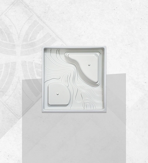 گلدان کاکتوس