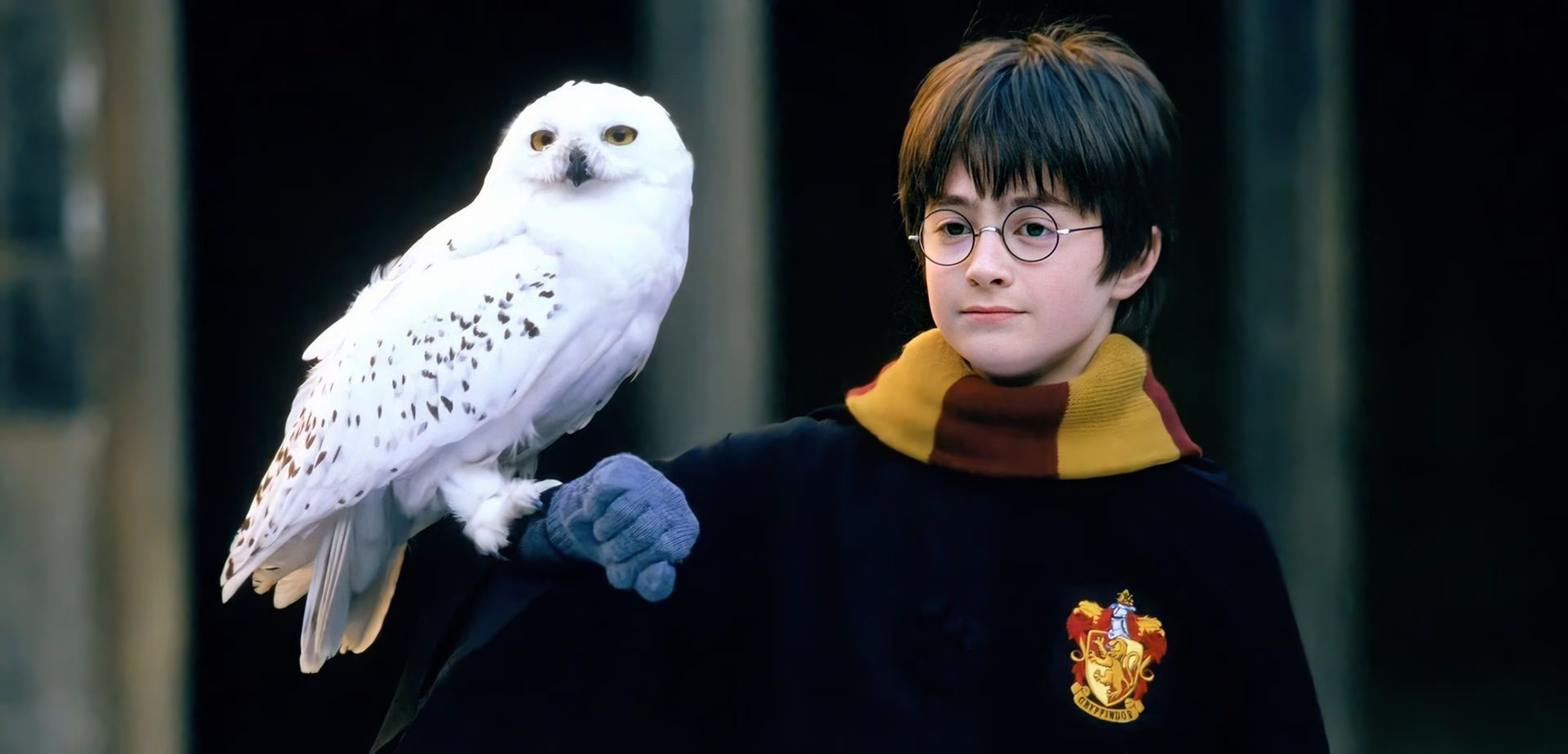 پوستر Harry Potter And The Sorcerer's Stone | هری پاتر و سنگ جادو