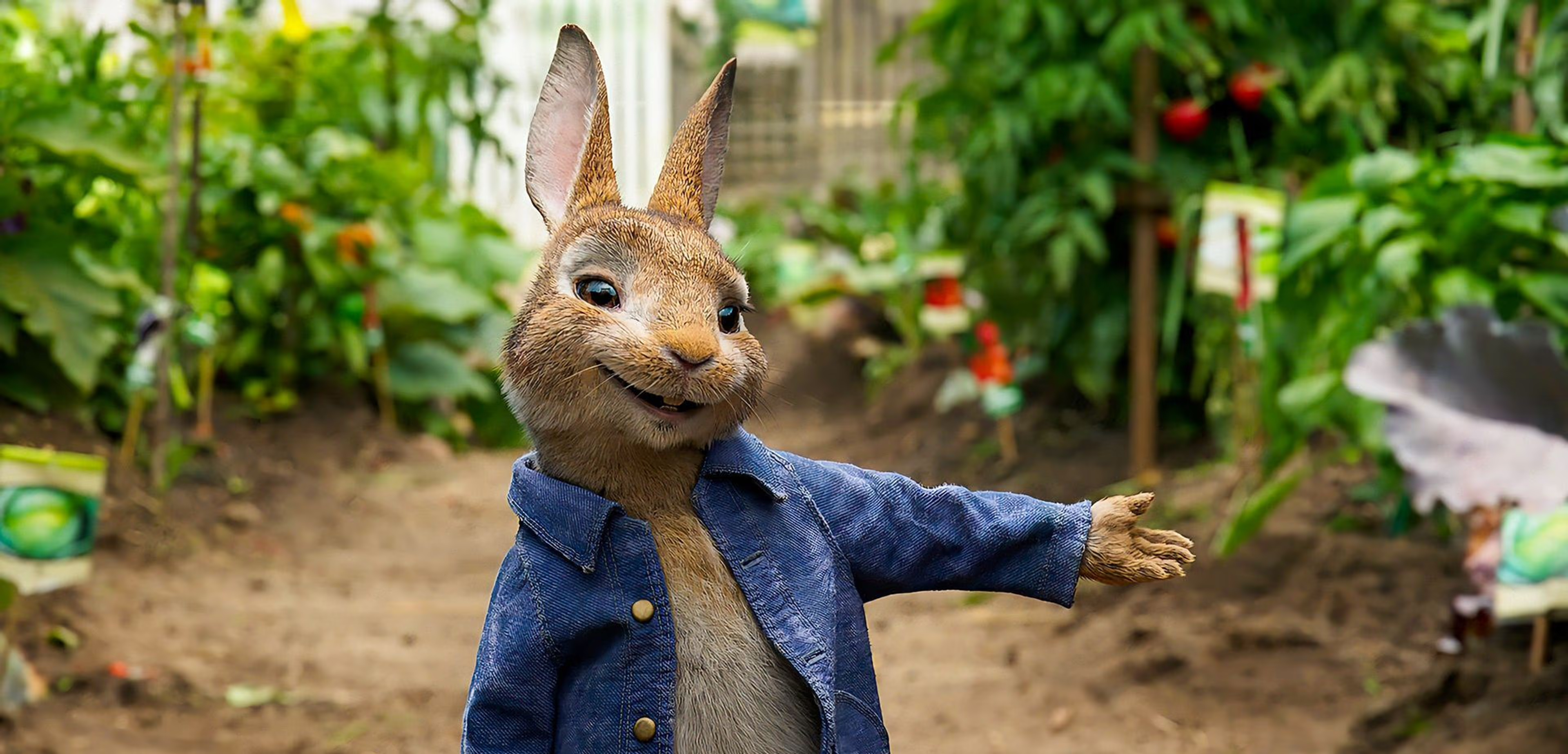 پوستر Peter Rabbit | پیتر خرگوشه