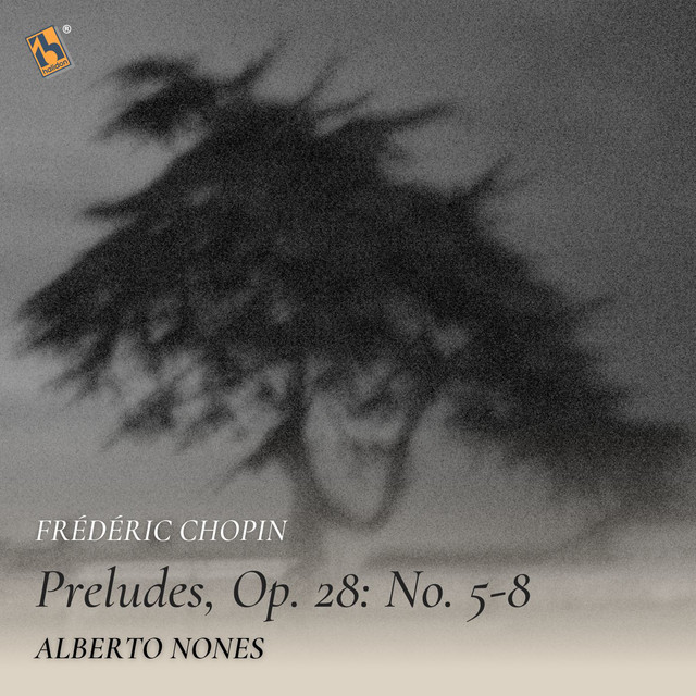 Preludes, Op. 28: No. 5 in D Major, Molto allegro
