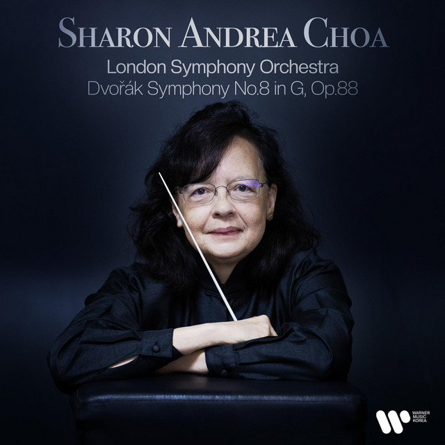 Symphony No. 8 in G Major, Op. 88, B. 163: I. Allegro con brio