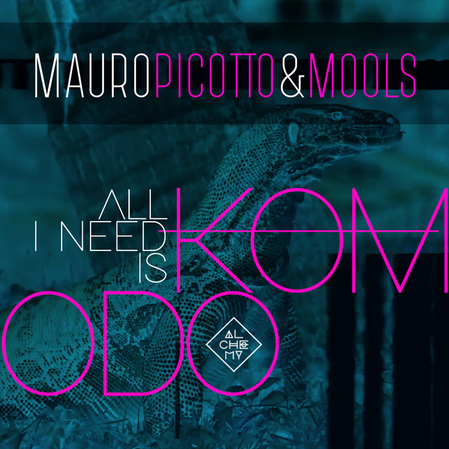 All I Need Is Komodo - Pagano Radio Edit