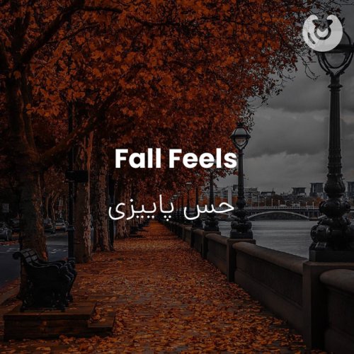 Fall Feels