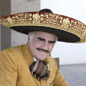 Vicente Fernández