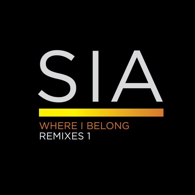 Where I Belong - Roni Size Crush Remix