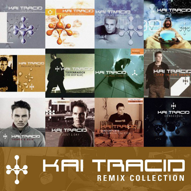 Too Many Times - Warmduscher Remix