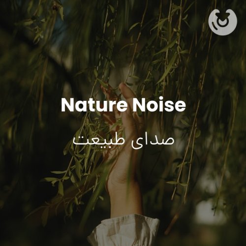 Nature Noise