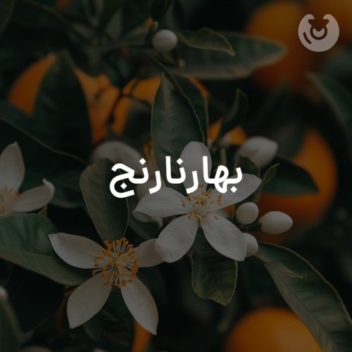 بهار نارنج