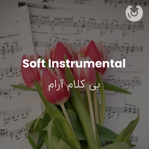 Soft Instrumental