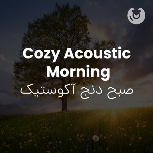Cozy Acoustic Morning