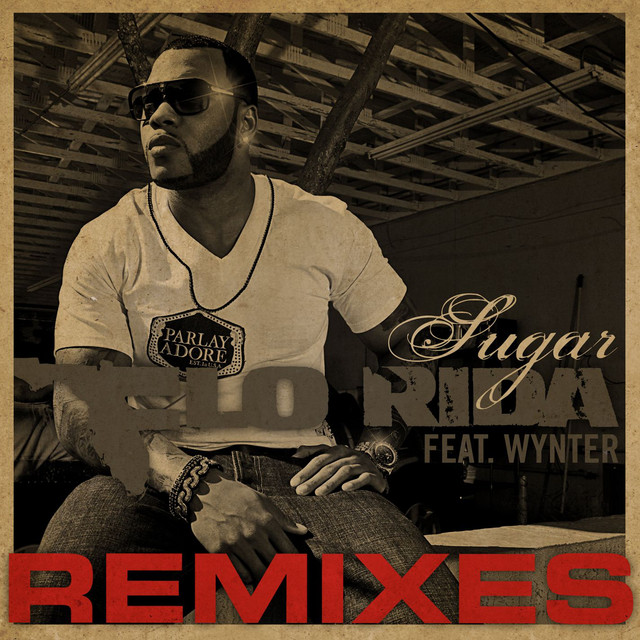 Sugar (feat. Wynter) - Mickey Modelle Remix