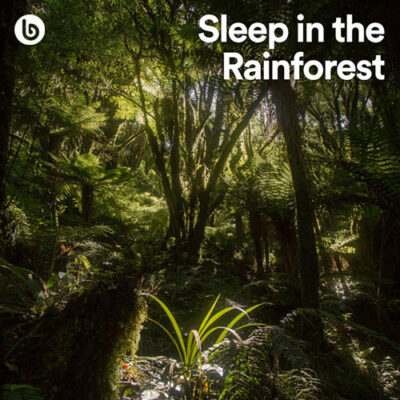 Whispering Trees in the Wildwood