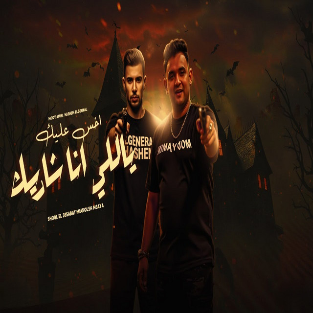 شوفتك صدفه