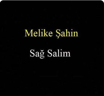 ساغ سالیم