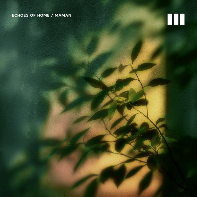 Interlude: Waves