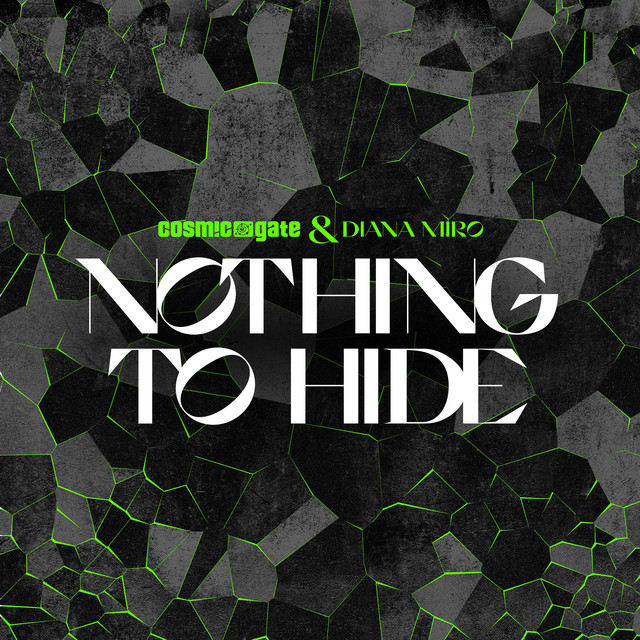Nothing to Hide - Extended Mix
