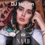 DJ Hesam