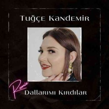 Dallarımı Kırdılar (Remix)