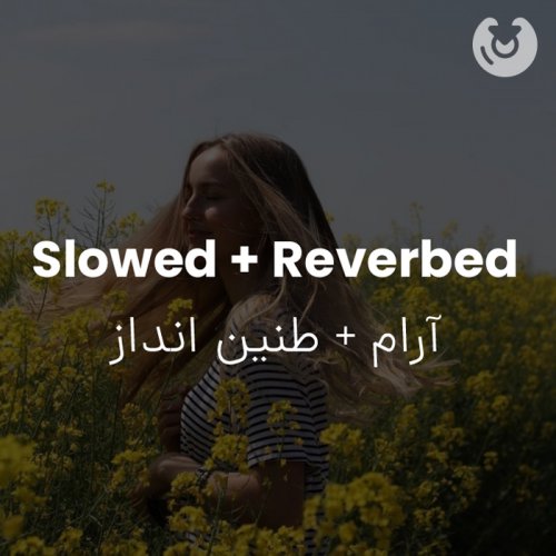 slowed + reverbed