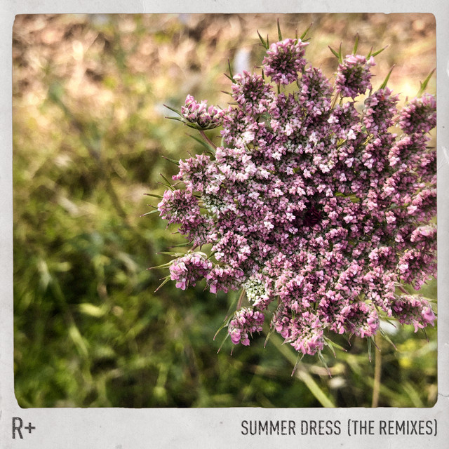 Summer Dress (Amtrac Remix)