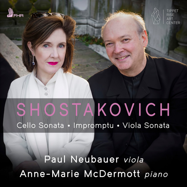 Cello Sonata in D Minor, Op. 40 (Arr. for Viola & Piano by Anonymous): II. Allegro