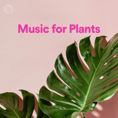 Mantra