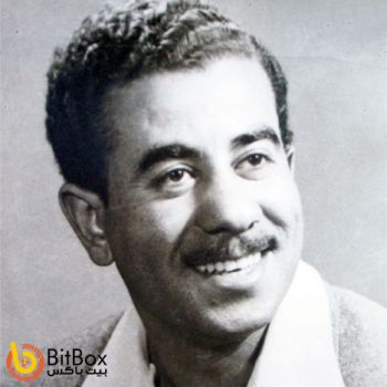 چرا ننالم