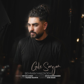 بهنام حاجی زاده